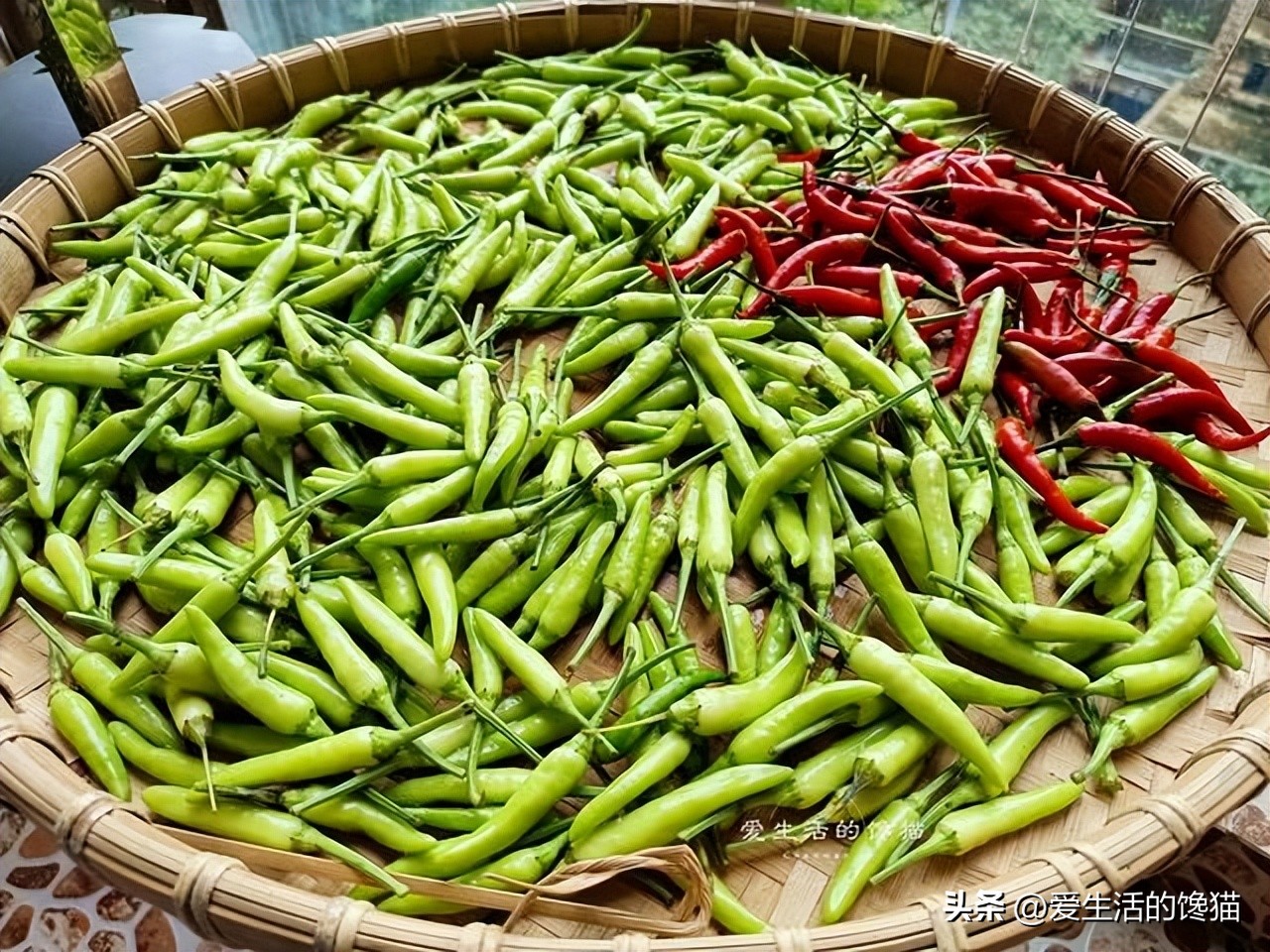 到底用什么来泡辣椒才好吃,第一次做泡辣椒应该很好吃