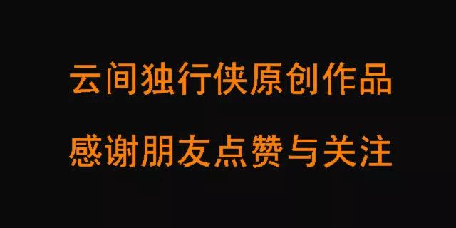 长白山蚂蚱草,第一次见奇怪的草