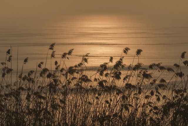 100条处世忠告,12条忠告