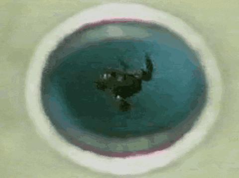 科学家用青蛙做实验，得到反重力蛙，那把人放进强磁场中会怎样？