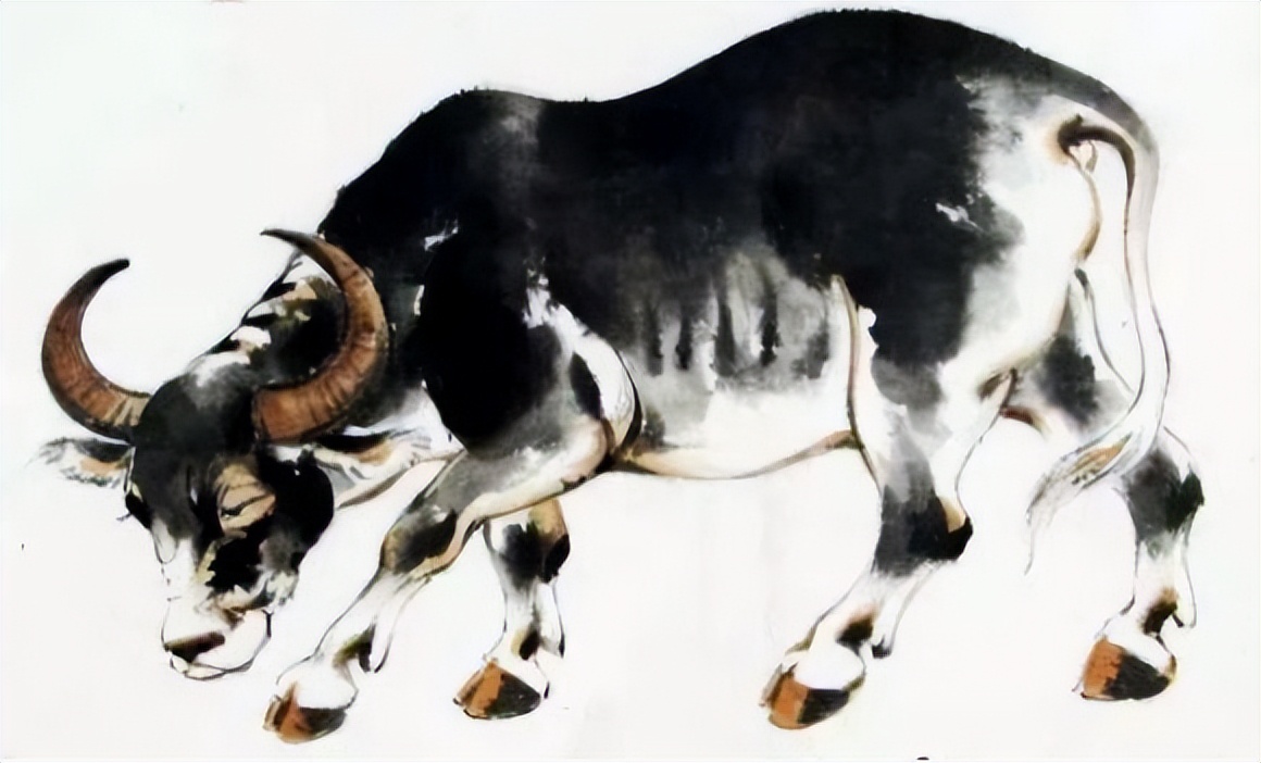 一生财运最佳生肖女,财运双全的生肖女人的命运