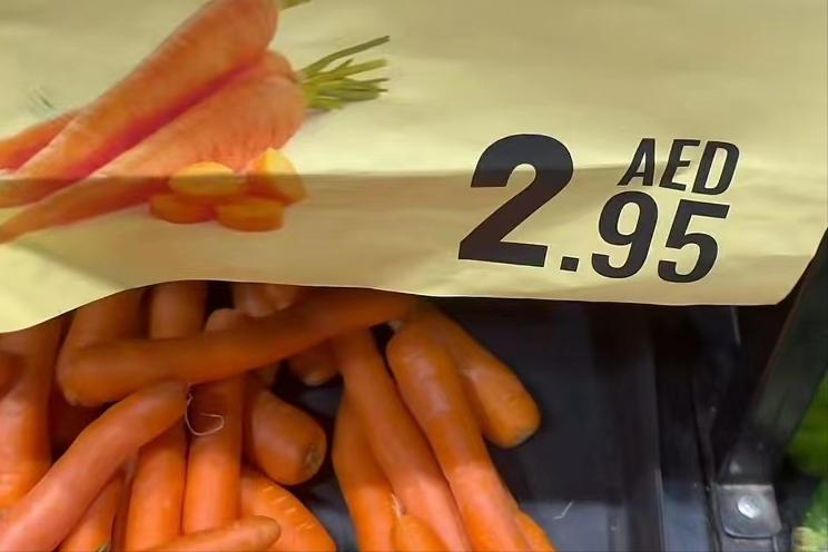 迪拜富得流油可以买什么,为什么说迪拜富得流油