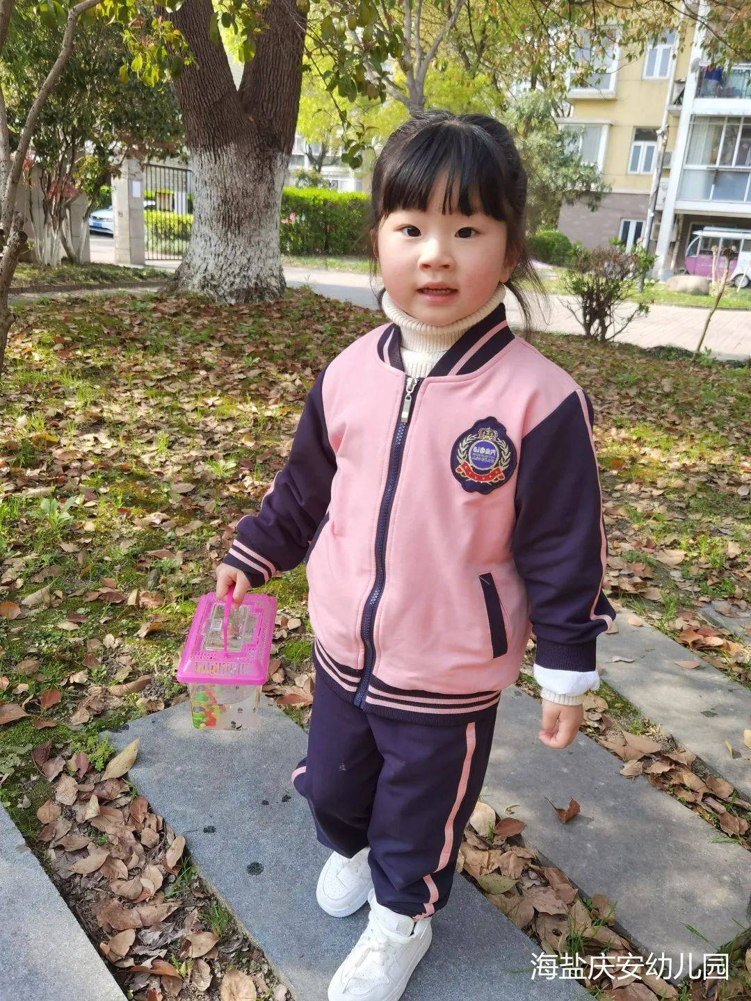 邂逅蝌蚪，感受生命的演变—诺亚舟海盐庆安幼儿园小一班