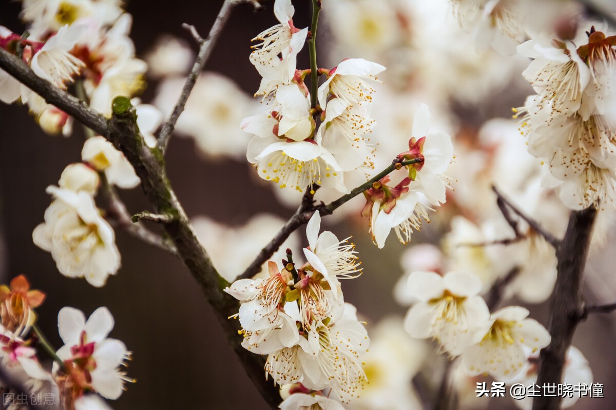 李贺的一生很不幸，过着颠沛流离的生活，创作出来的诗也是很伤感