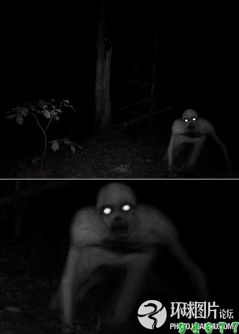 世界7大奇迹未解之谜,世界未解之谜五大禁地