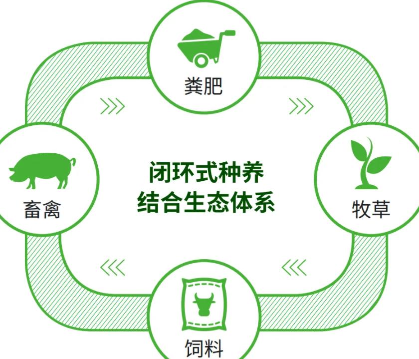 日本人山东租1500亩地的故事 (2006年日本人在山东租50亩地)