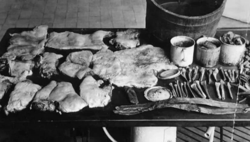 食人魔汉尼拔恐怖电影,高能慎入