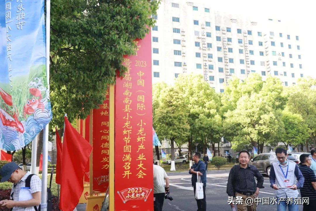 2023年南县小龙虾价格行情,南县小龙虾价格报价