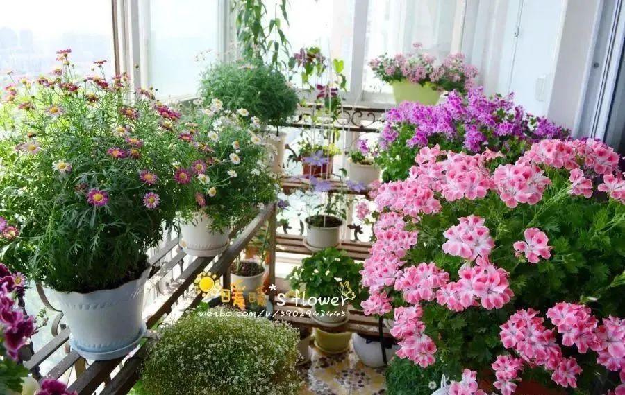 露天小阳台打造小花园效果图,卧室开放式小阳台怎么打造花园