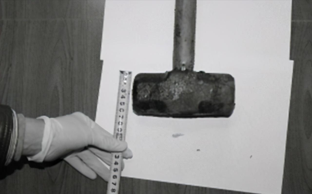 辽宁三兄弟杀警察案件完整视频,东北三兄弟毒死母亲复仇杀十四人