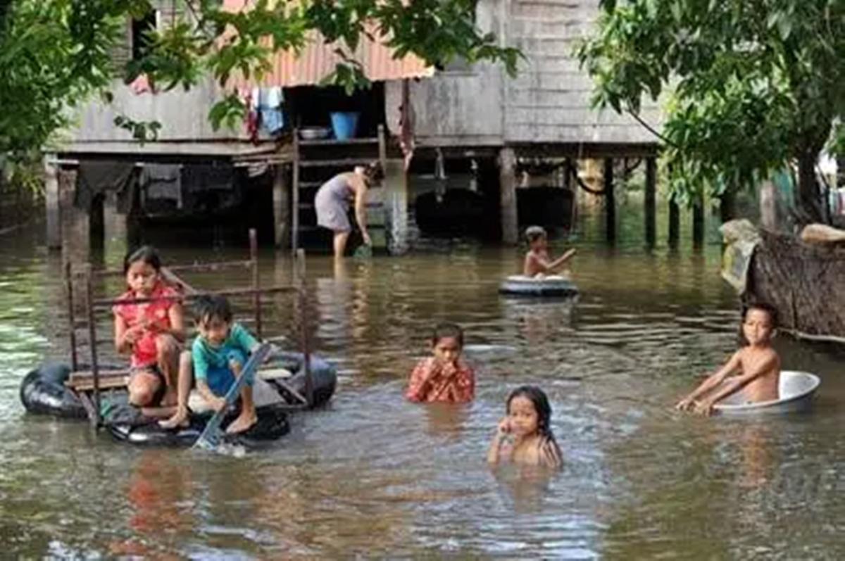 娉板浗鑲＄,娉板浗鑲＄minnie