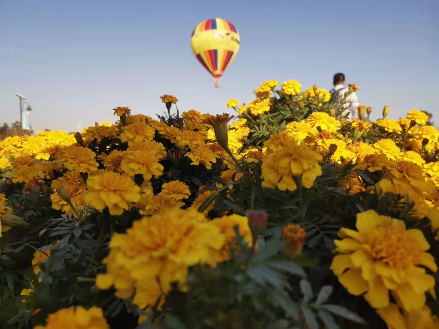 谁不是划地为牢，囚一世悲与伤