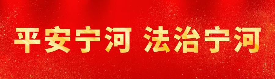 宁河区关于涉破产“以房抵债”的5大类问题18条裁判意见