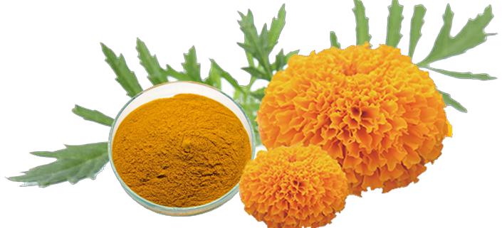 年龄大了得了脑萎缩该如何解决,50多岁轻微脑萎缩要注意什么