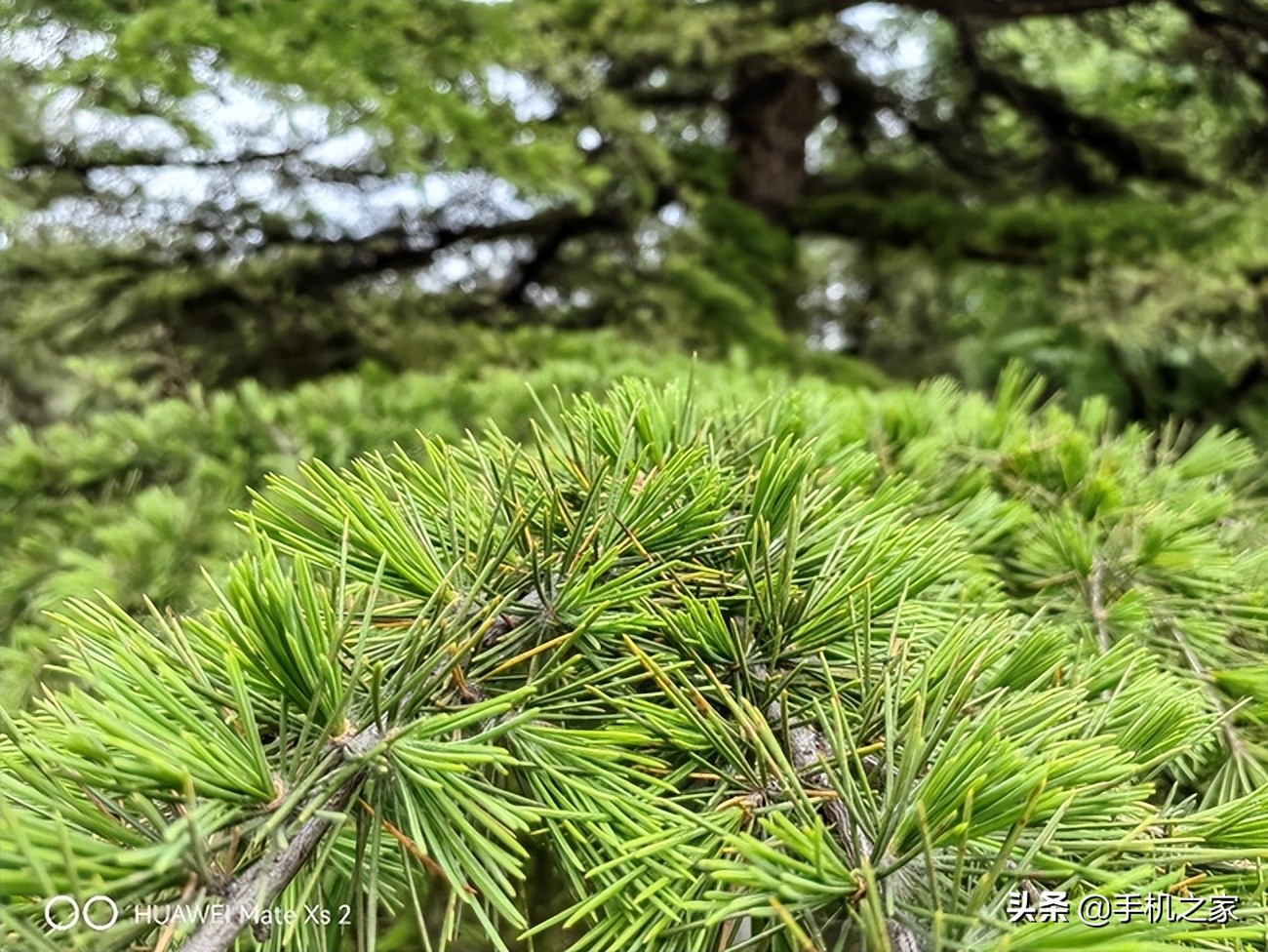 华为matexs2使用一年感受,华为matexs2使用真实体验