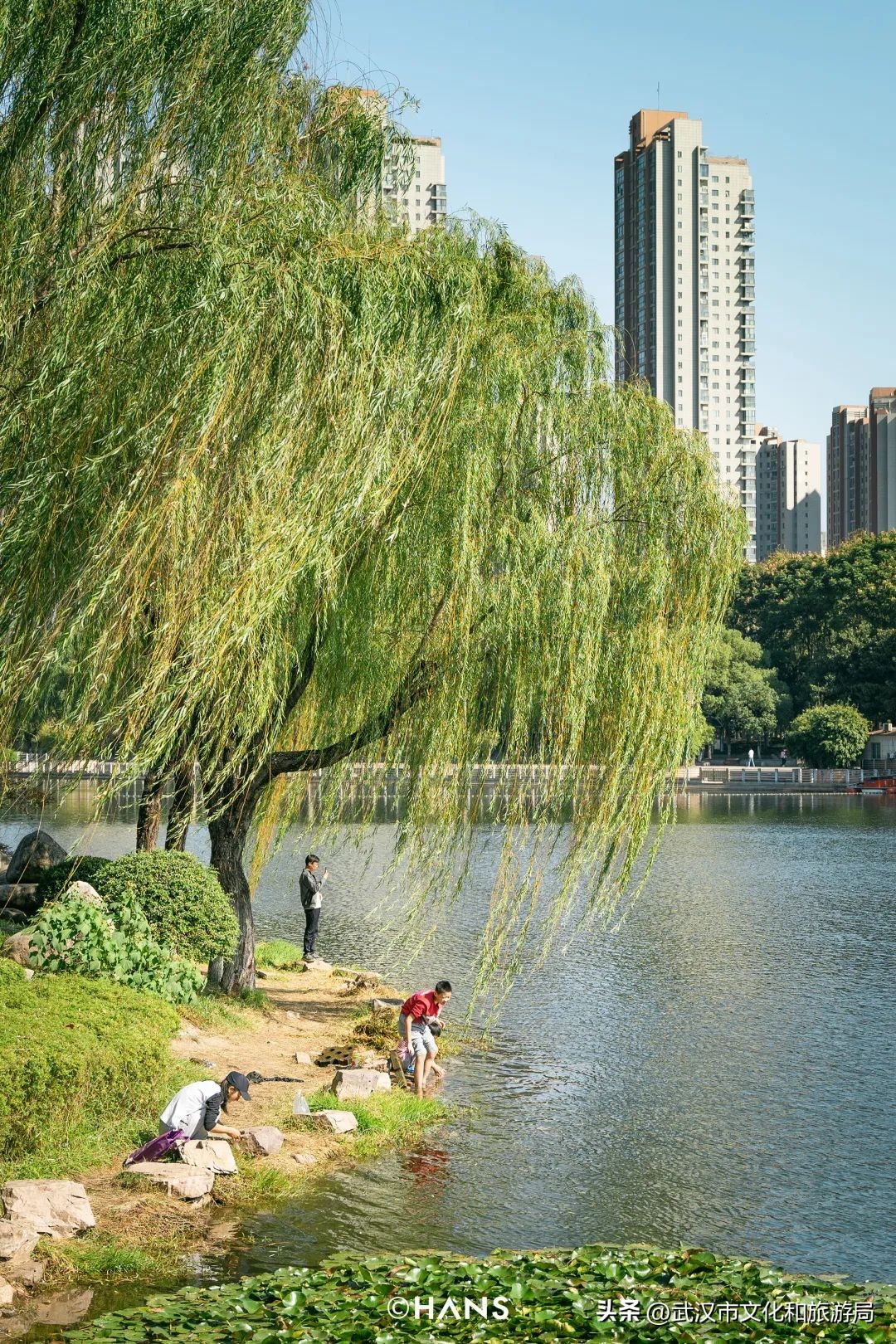 离武汉人最近的湿地，家楼下的10个宝藏小湖