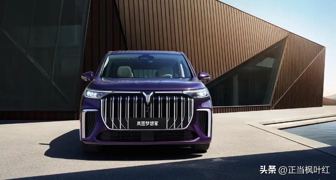 岚图梦想家儿童座椅接口,岚图梦想家儿童座椅