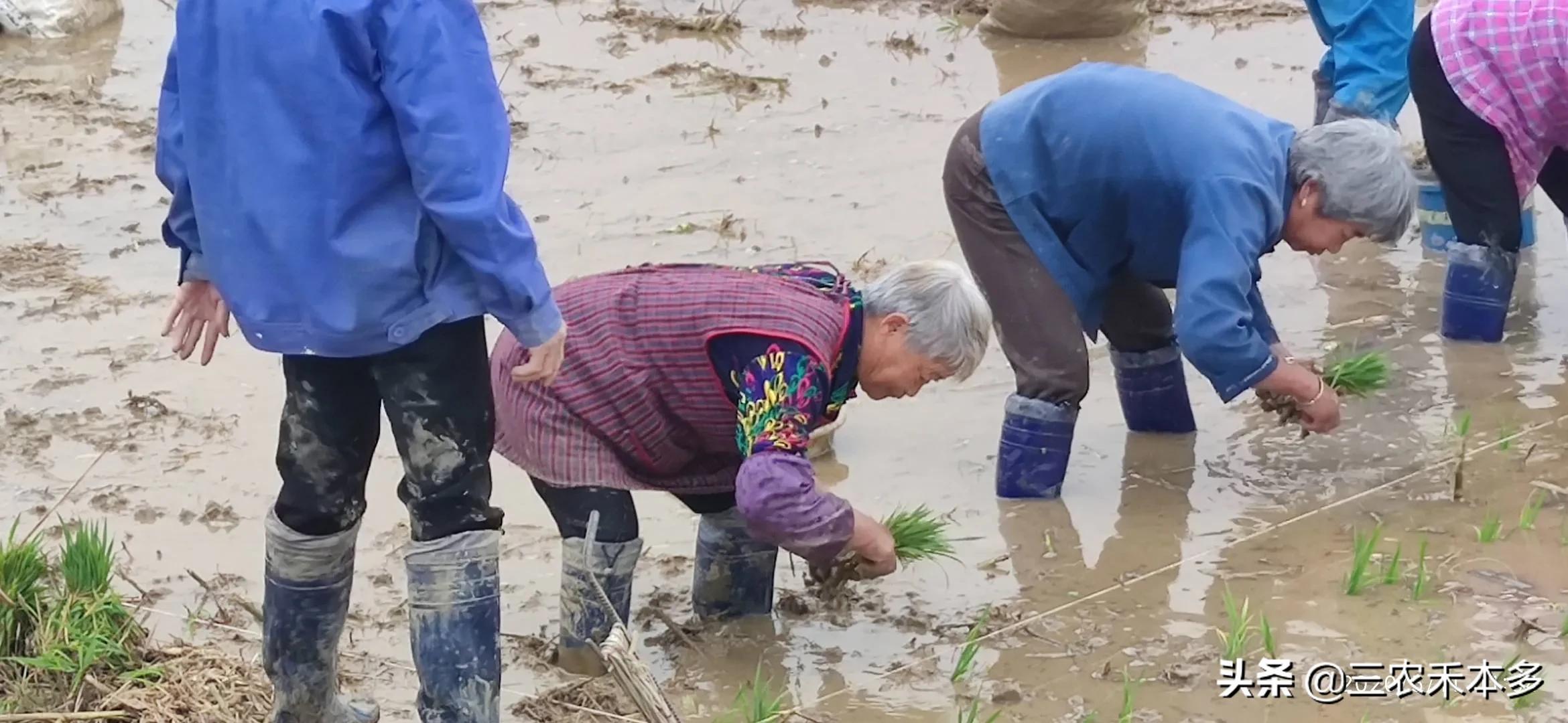 农业技术员讲课视频,农业技术员培训教材