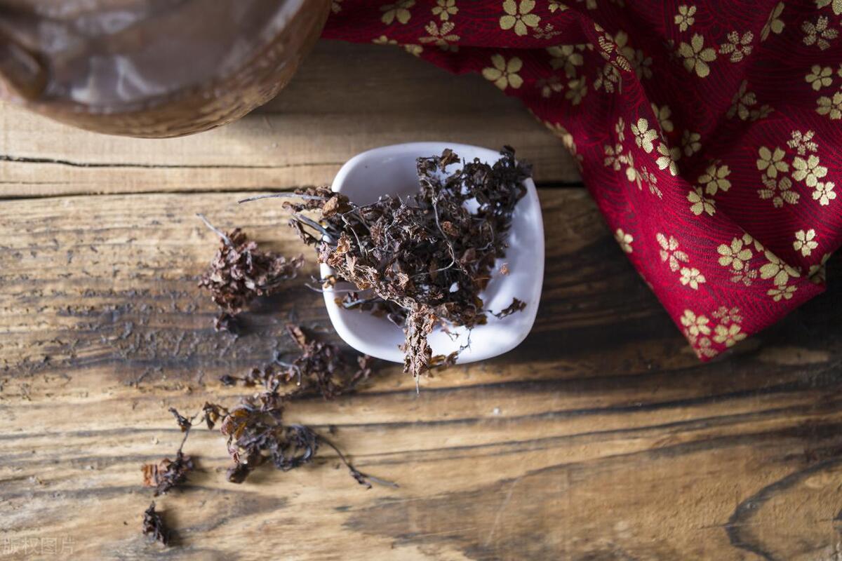 海藻（清化热痰药）