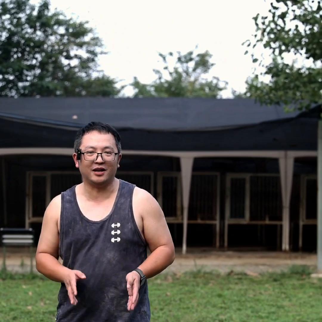 秋田犬和别的狗好相处吗,秋田犬怎么控制不和其他狗打架