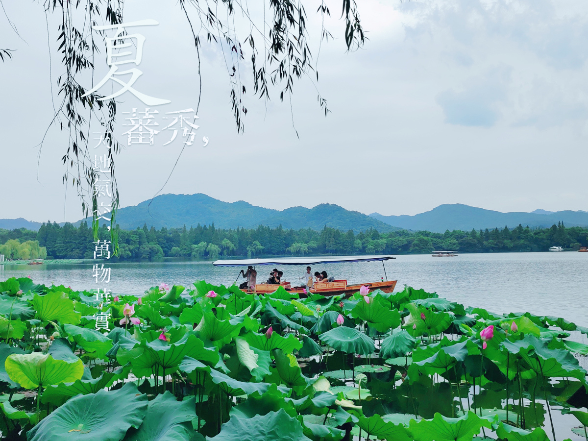 荣耀70评测：颜值才华兼备，旗舰IMX800要你好看，五星好“屏”