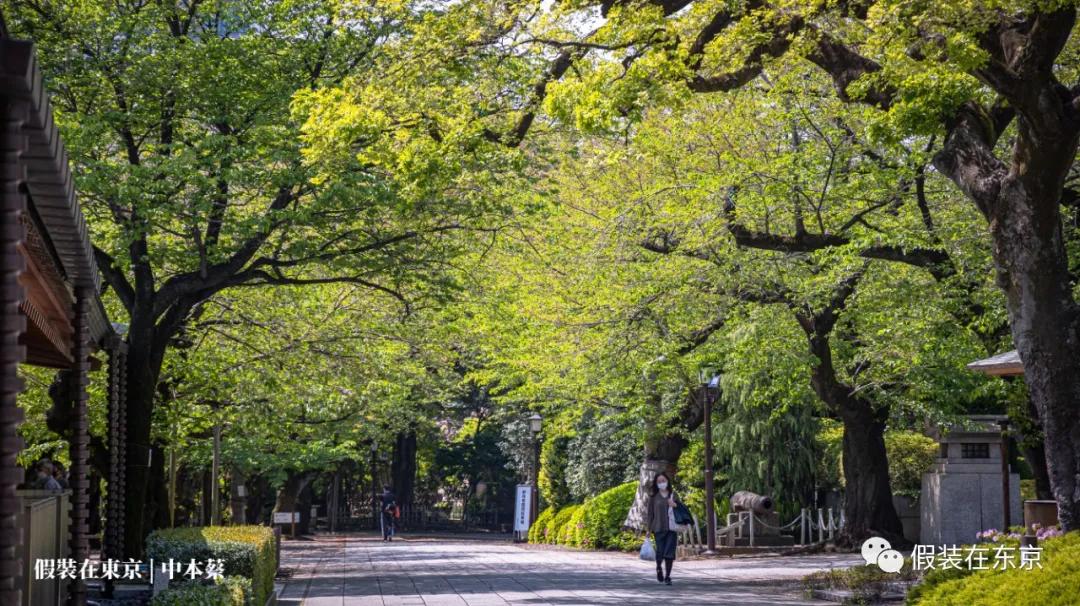 365张照片回顾,365张相片