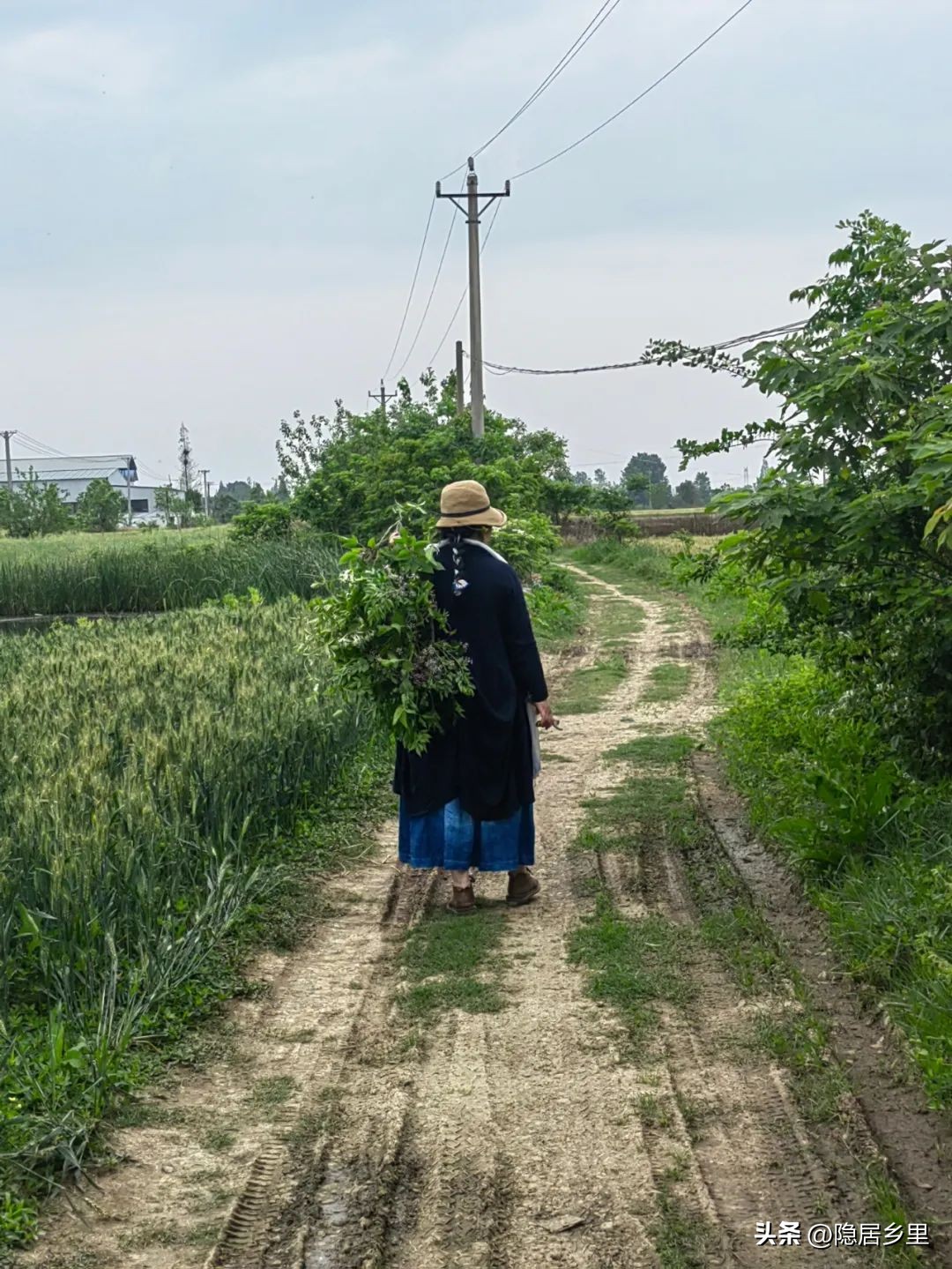 我为什么要在乡村开店——写给楚楚咖啡馆