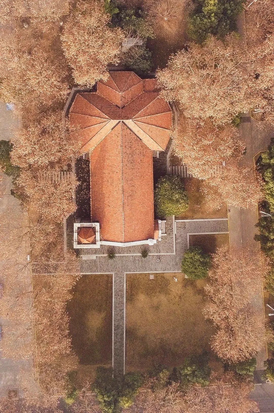 姝︽眽鐧惧勾鍚嶆牎,姝︽眽鐧惧勾楂樹腑