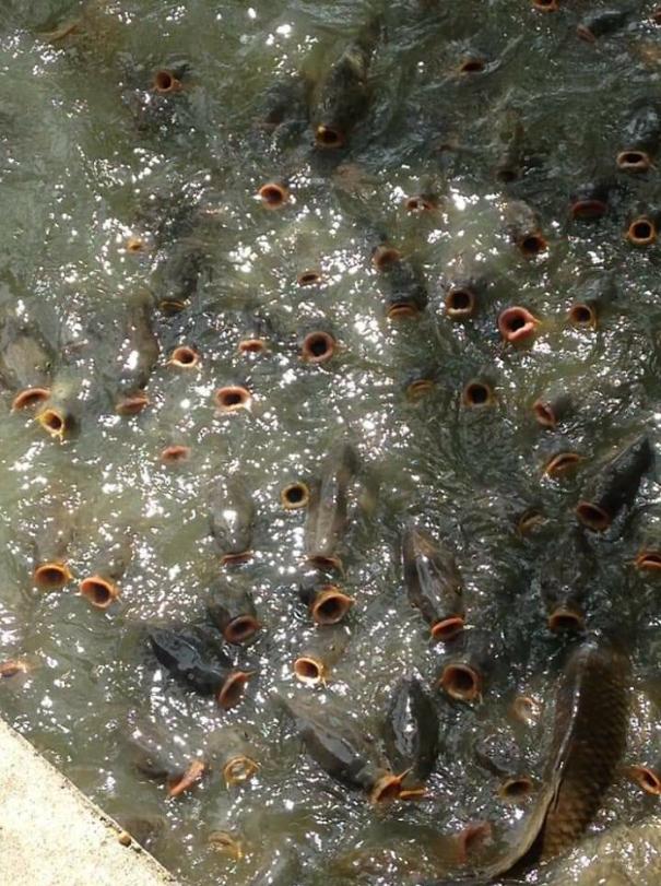 水下世界神秘视频,让人惊叹的水下视频