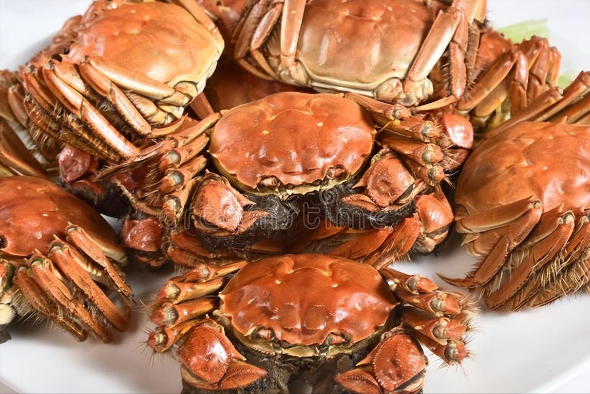 又肥又有膏的螃蟹怎么挑,教您几招挑选螃蟹的妙招