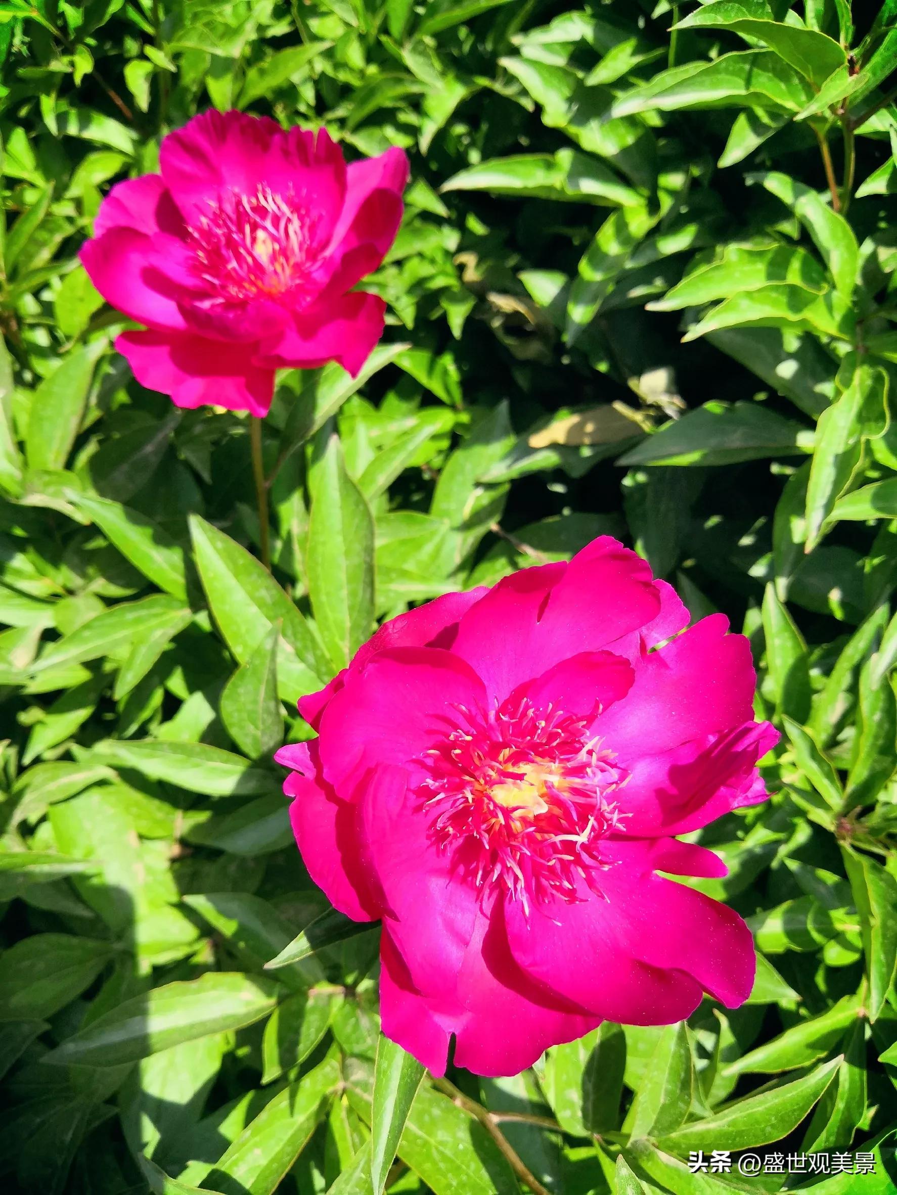 怎样找到头条的流量密码,头条原创文章怎么加推荐量