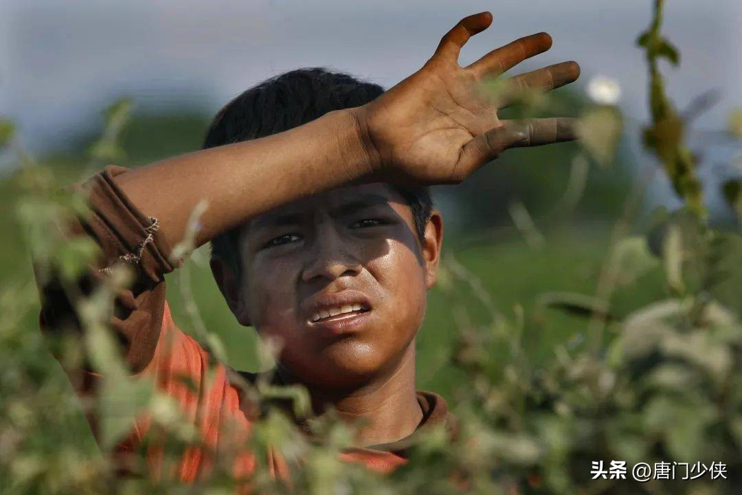 公知小作文是什么,公知小作文