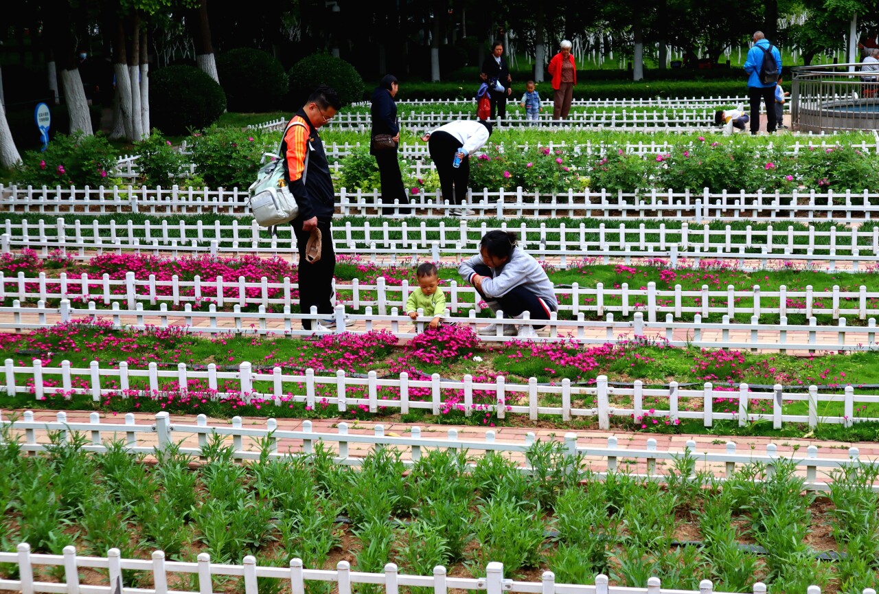 济南有隐秘的角落公园,推荐济南6处鲜为人知的小众之地