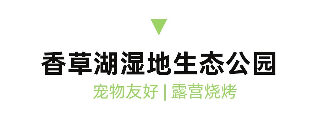 成都周边一日游露营烧烤好去处,成都周边春天适合野炊露营的地方