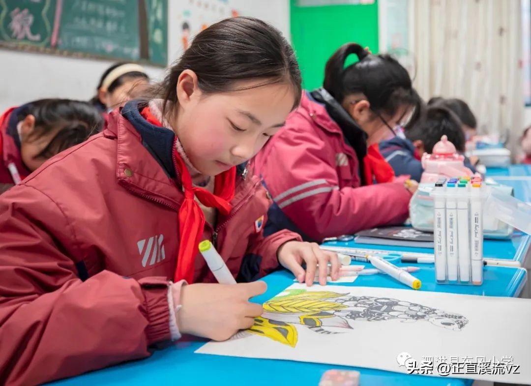 小学社团文化艺术节,小学艺体社团活动计划