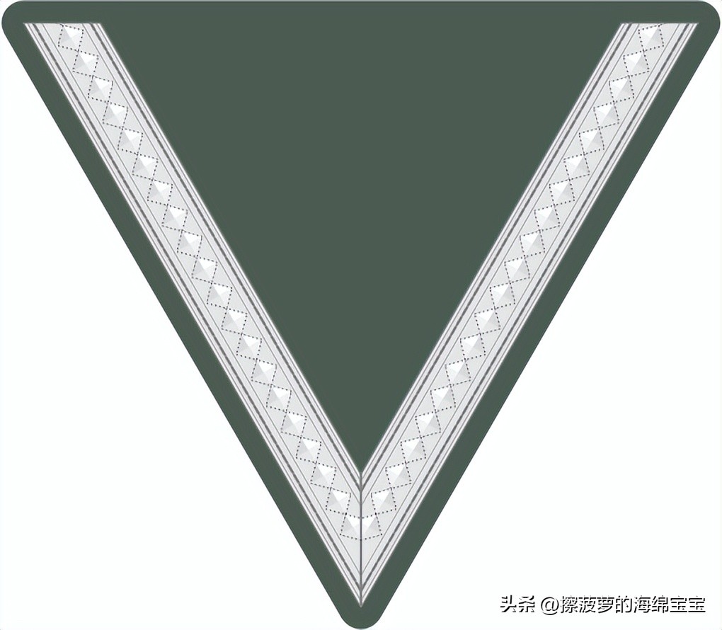 二战德国国防军医疗兵军衔标志