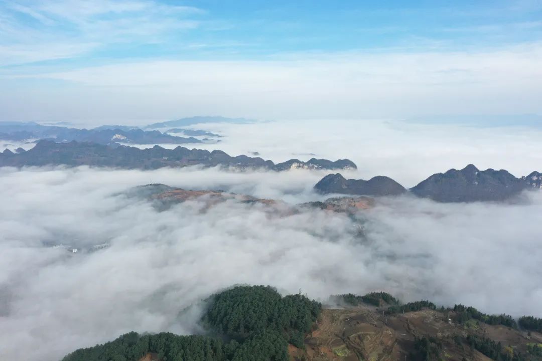 毕节市山地特色农业产业发展,林下经济铺就绿色脱贫路