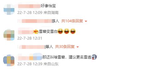 雪碧宣布放弃绿瓶网友的说法,雪碧宣布放弃绿瓶包装影响