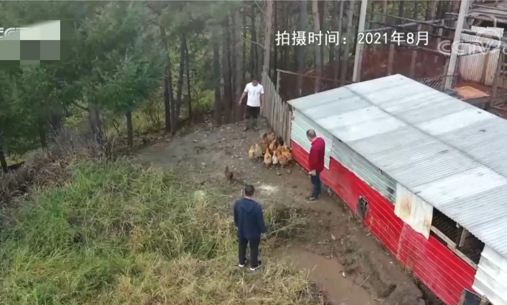 浙江男子把鸡和猪塞进大缸，靠278口大缸，一年销售额3000多万元