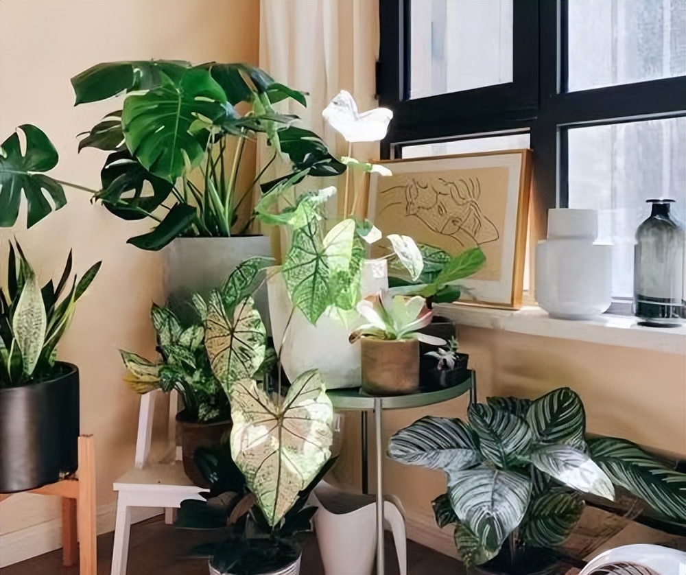 开窗通风是去除甲醛的最佳办法吗,甲醛如何才能有效的释放