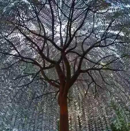 肥皂盒小夹子,肥皂盒小的