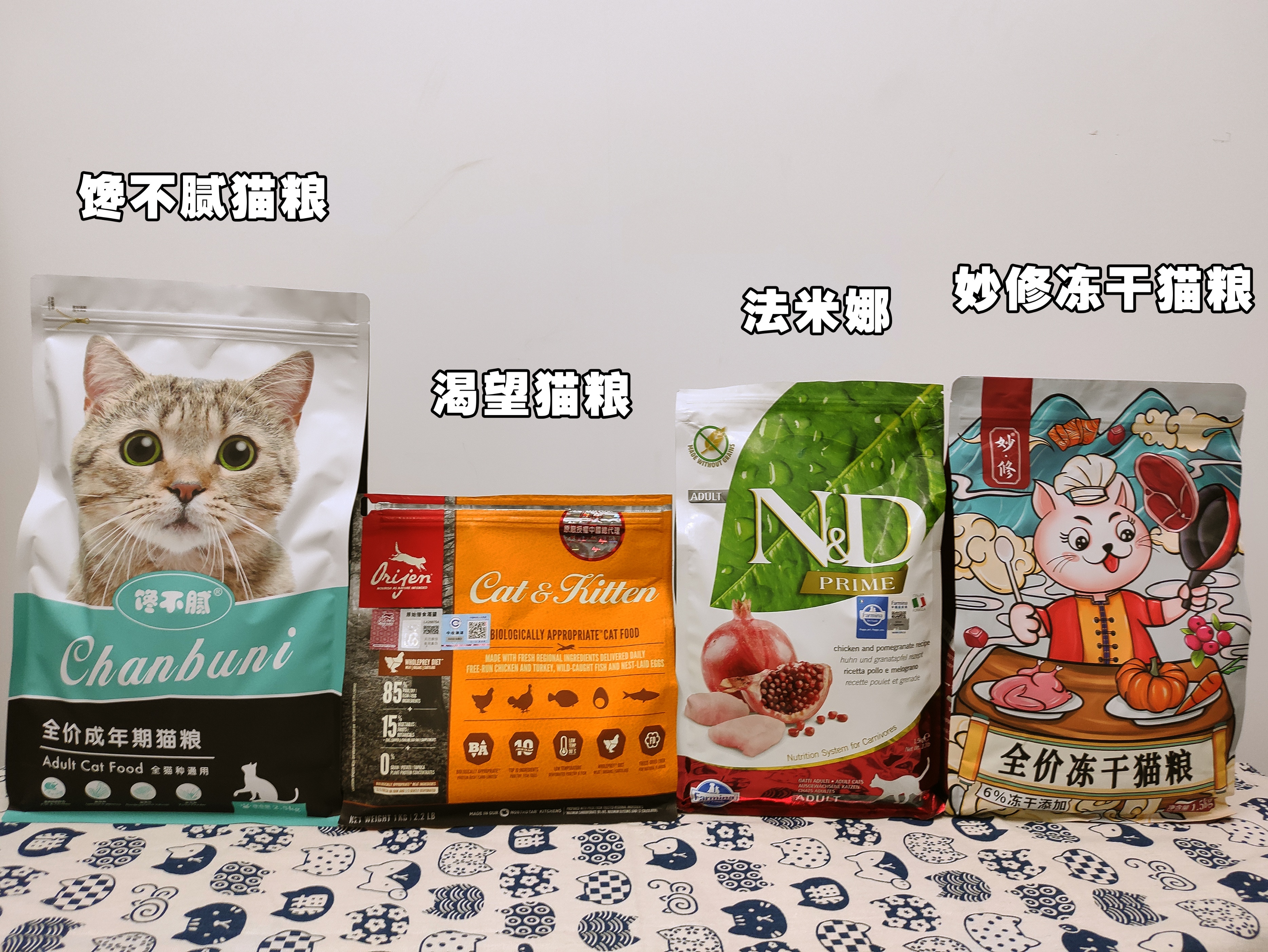 为什么说蓝猫笨,为什么蓝猫突然不值钱了