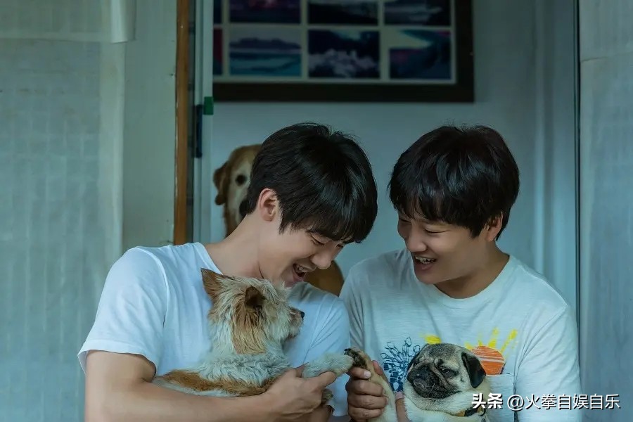 近期必看的十部韩国电影,推荐6部巨好看韩国电影