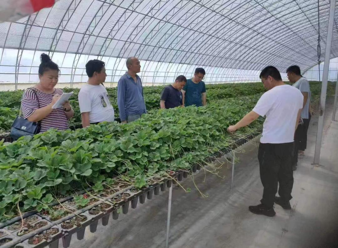 呼和浩特市食品安全监管,呼和浩特市食品安全检测