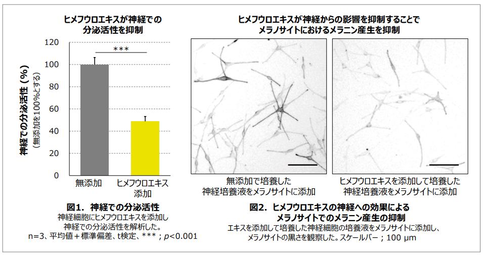 盘点4款大牌美白精华,美白精华合集8款