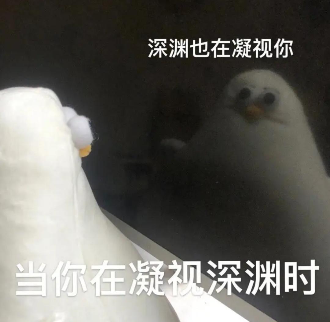 喂过一次大连海鸥，人类就要为自己的弱小羞愧