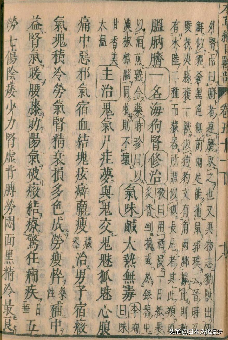 日本的特产动物是什么,日本特产真的吗