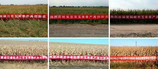 “沃滴滴”生物液肥在玉米、土豆主产区多地创高产纪录
