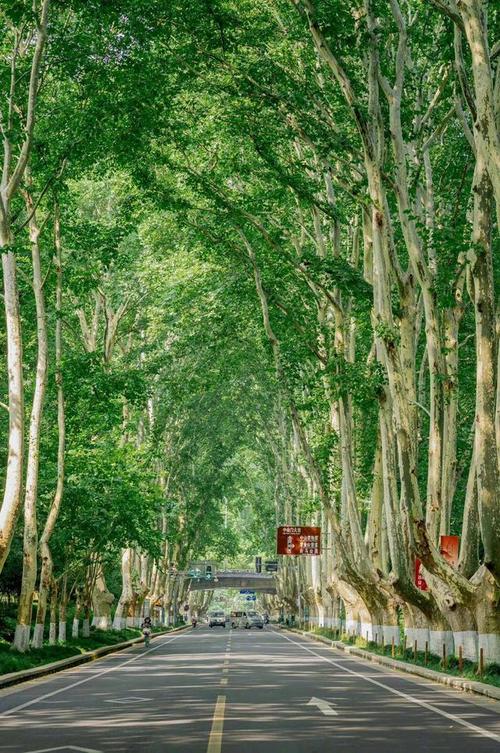 江苏南京和苏州谁是第一大城市,江苏南京和苏州谁才是第一大城市