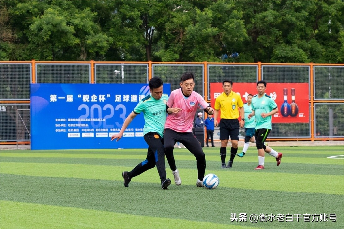 衡水老白干篮球赛,衡水老白干篮球杯